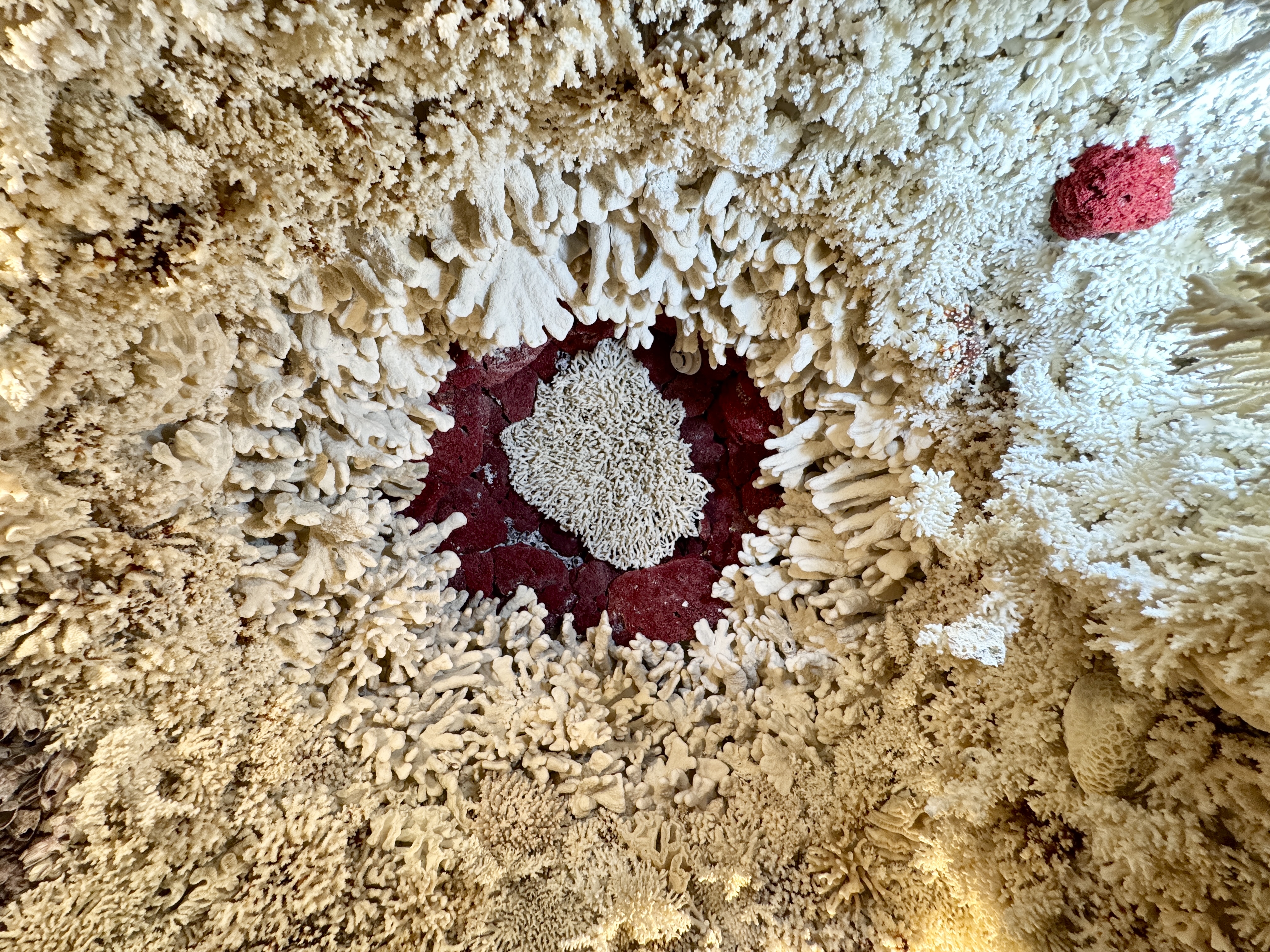 Shimen Coral Shell Temple｜North Coast Travel Spot｜Showway Real Estate