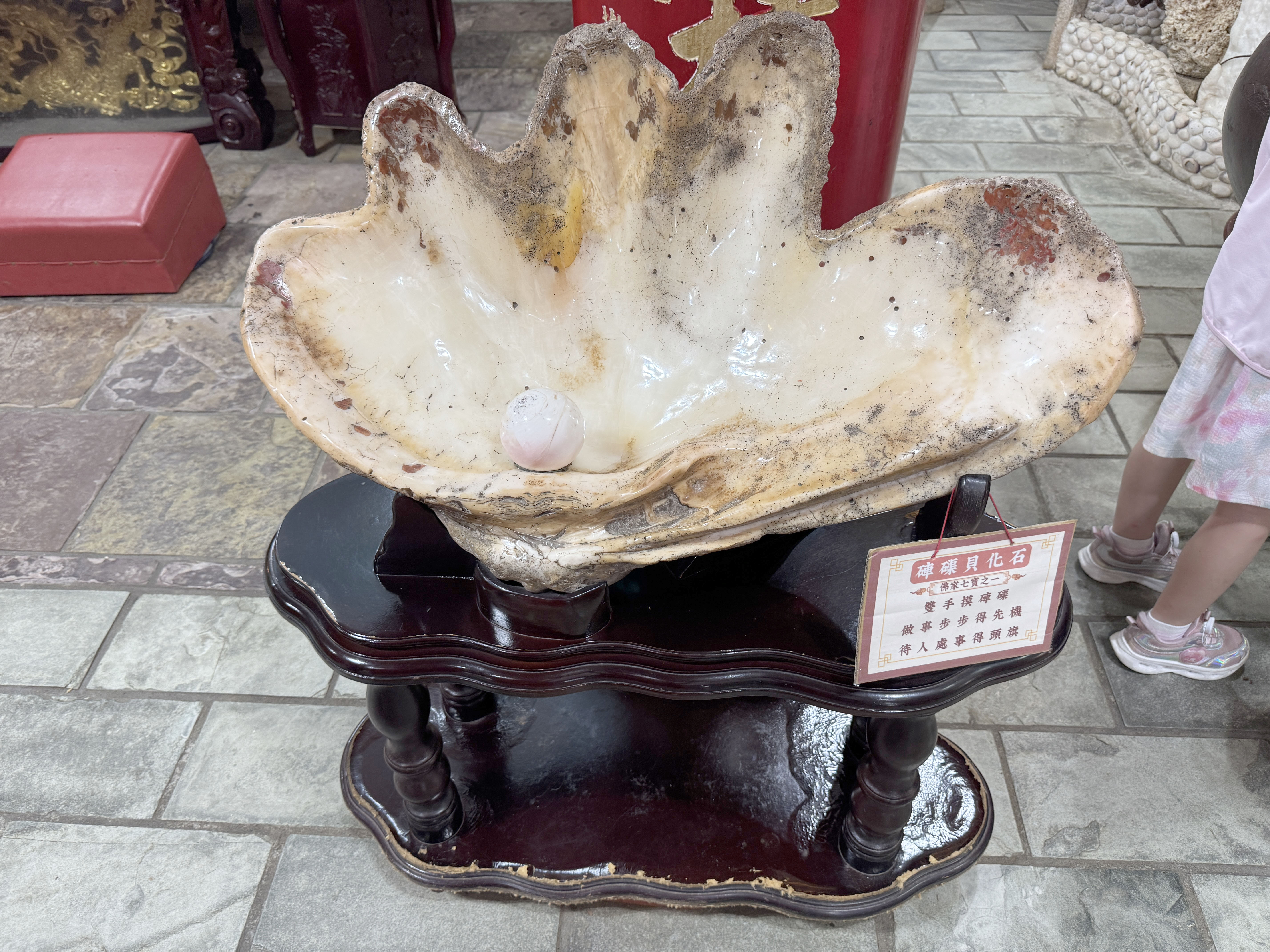 富福頂山寺展示的巨大珍珠蚌貝殼