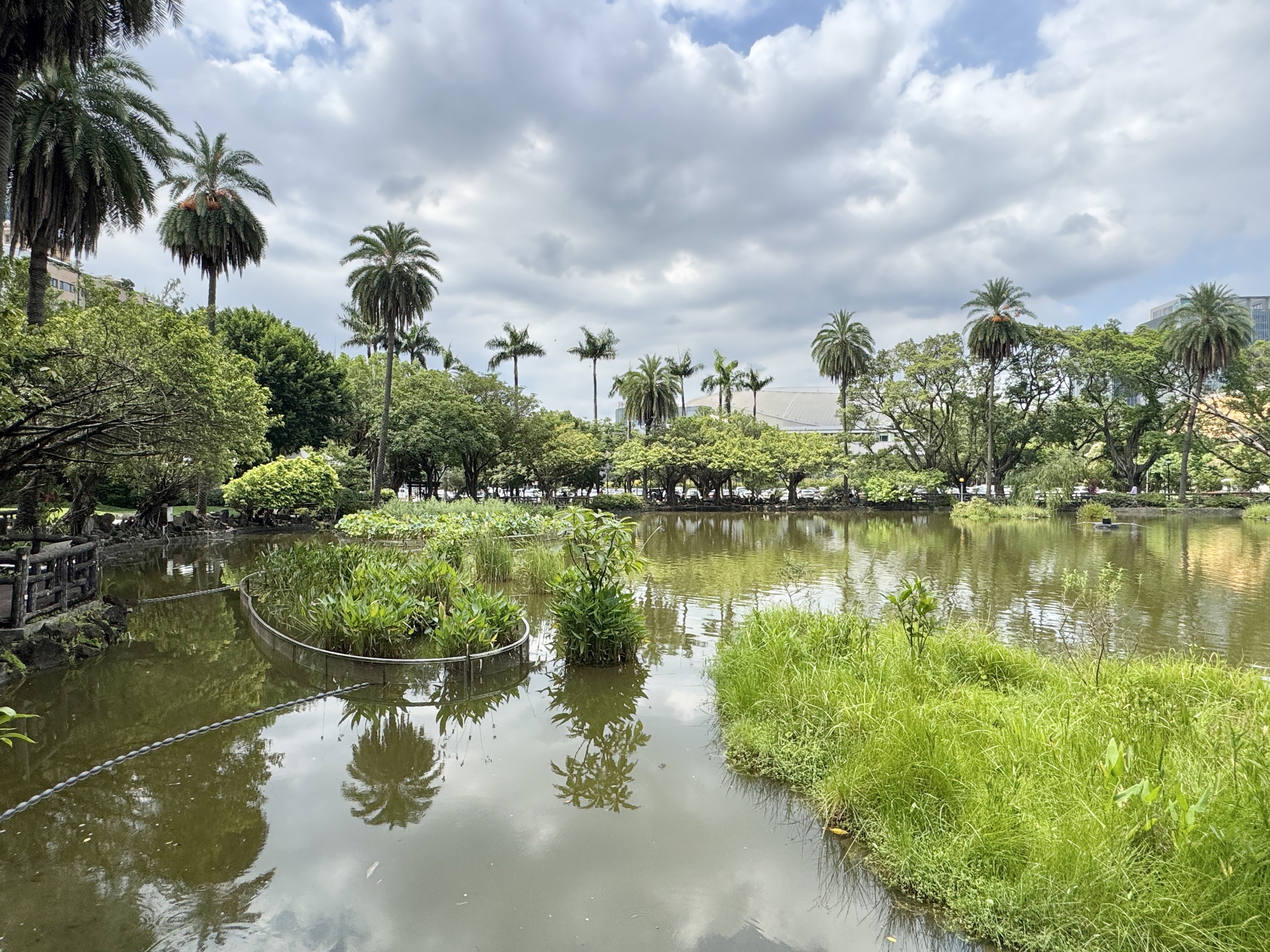 國父紀念館園區水池與岸邊植栽，水面倒映樹木與天空。