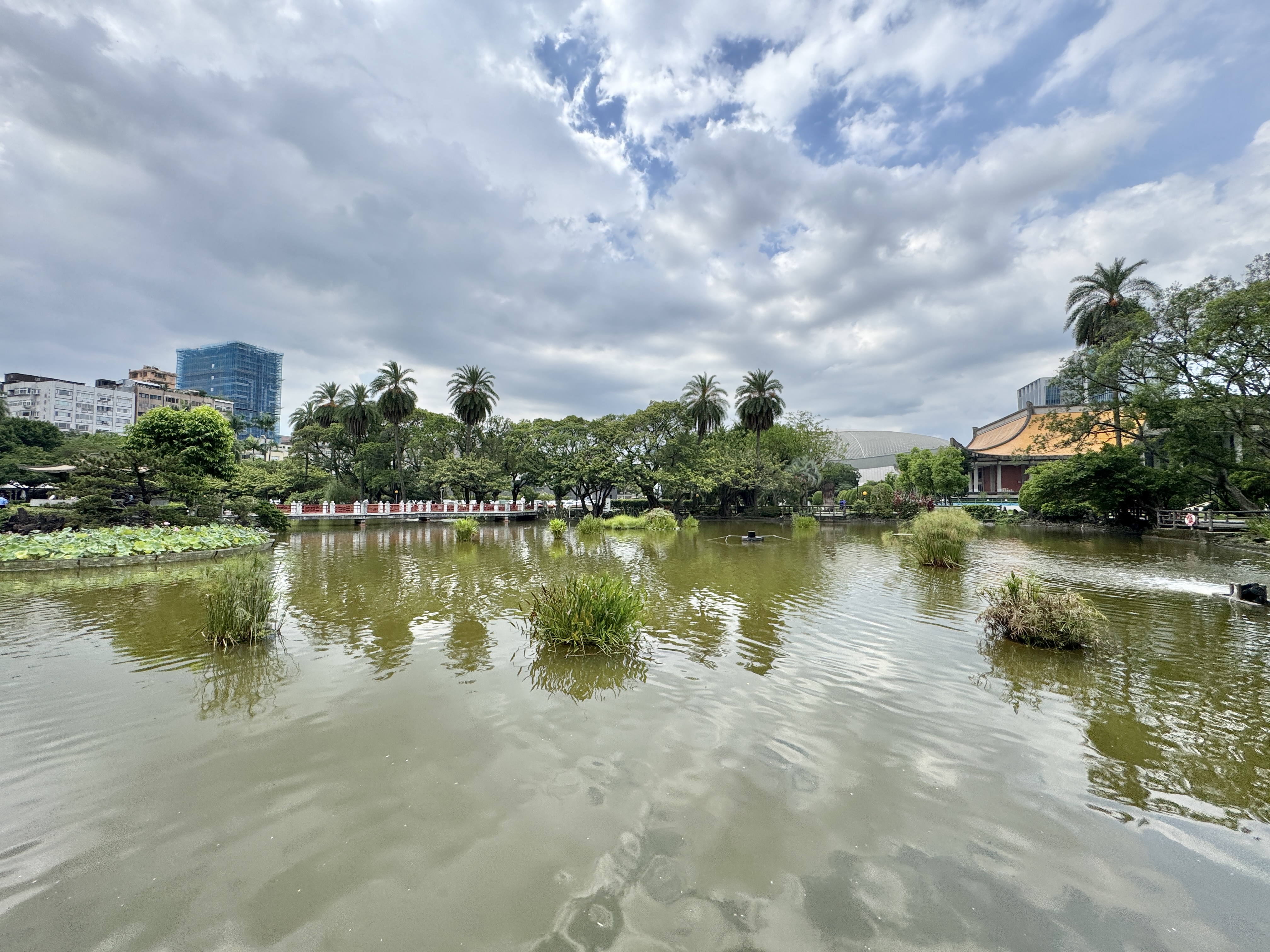 國父紀念館園區水池與水生植栽，遠方可見樹木、棕櫚與建築。